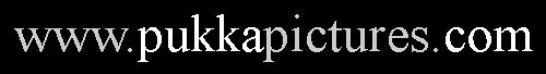 Text Box: www.pukkapictures.com